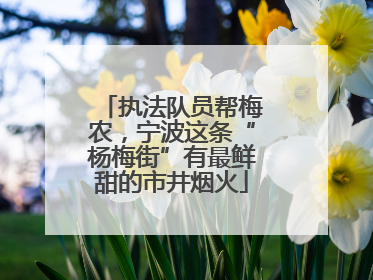 执法队员帮梅农，宁波这条“杨梅街”有最鲜甜的市井烟火