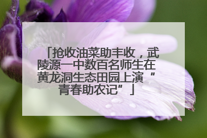 抢收油菜助丰收，武陵源一中数百名师生在黄龙洞生态田园上演“青春助农记”