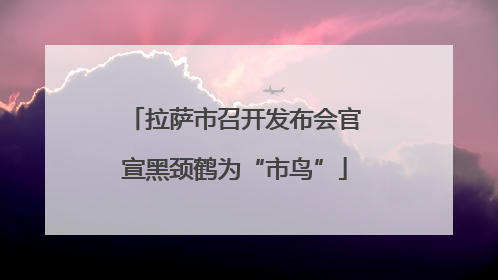 拉萨市召开发布会官宣黑颈鹤为“市鸟”