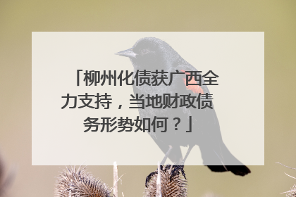 柳州化债获广西全力支持，当地财政债务形势如何？