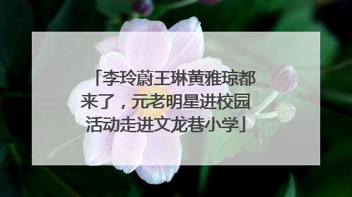 李玲蔚王琳黄雅琼都来了，元老明星进校园活动走进文龙巷小学