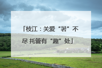 枝江：关爱“暑”不尽 托管有“趣”处