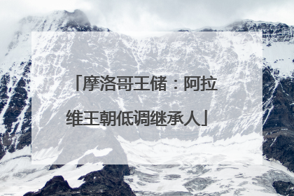 摩洛哥王储：阿拉维王朝低调继承人