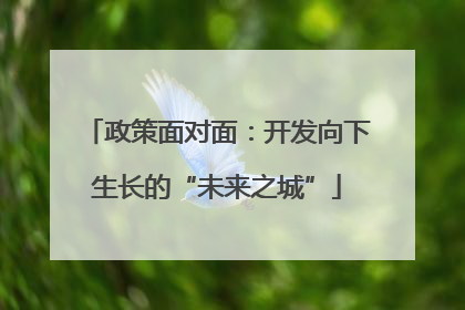 政策面对面：开发向下生长的“未来之城”