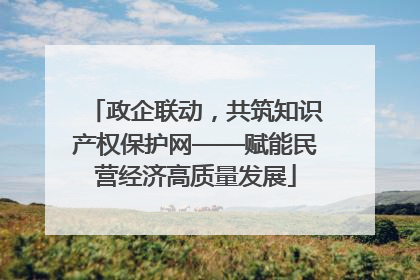政企联动，共筑知识产权保护网——赋能民营经济高质量发展