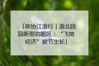政协江淮行｜淮北段园新型功能区：“飞地经济”拔节生长