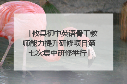 攸县初中英语骨干教师能力提升研修项目第七次集中研修举行
