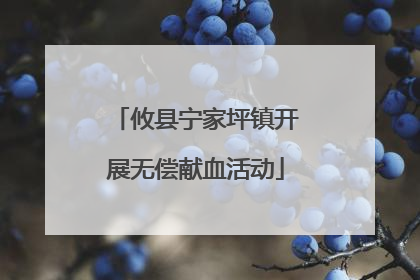 攸县宁家坪镇开展无偿献血活动
