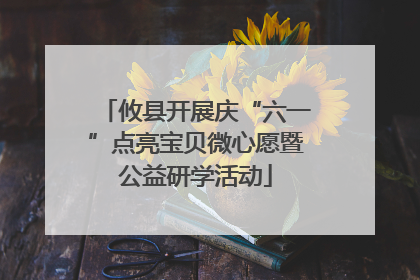 攸县开展庆“六一”点亮宝贝微心愿暨公益研学活动