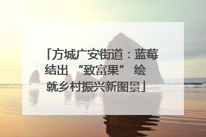 方城广安街道：蓝莓结出 “致富果” 绘就乡村振兴新图景