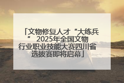 文物修复人才“大练兵” 2025年全国文物行业职业技能大赛四川省选拔赛即将启幕