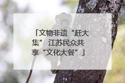 文物非遗“赶大集” 江苏民众共享“文化大餐”