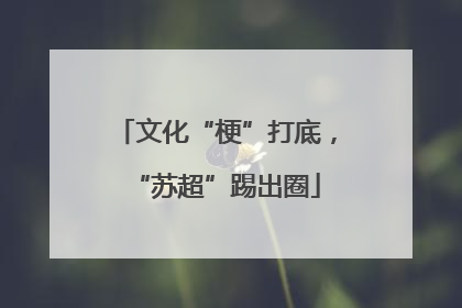 文化“梗”打底，“苏超”踢出圈