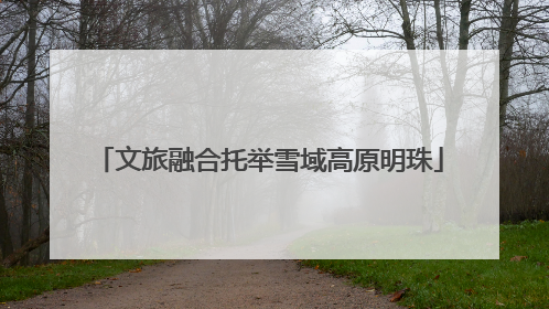 文旅融合托举雪域高原明珠