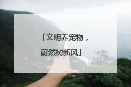 文明养宠物，蔚然树新风