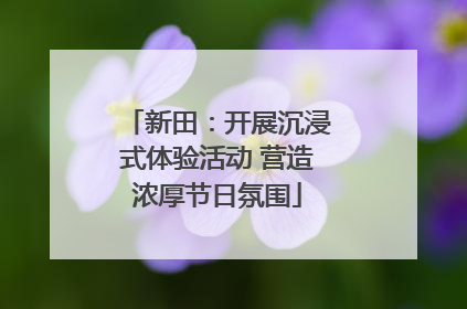 新田：开展沉浸式体验活动 营造浓厚节日氛围