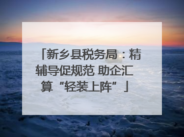 新乡县税务局：精辅导促规范 助企汇算“轻装上阵”