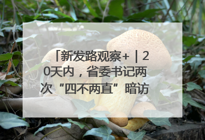 新发路观察+｜20天内，省委书记两次“四不两直”暗访，有何深意？