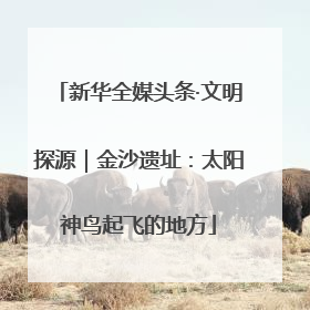 新华全媒头条·文明探源｜金沙遗址：太阳神鸟起飞的地方