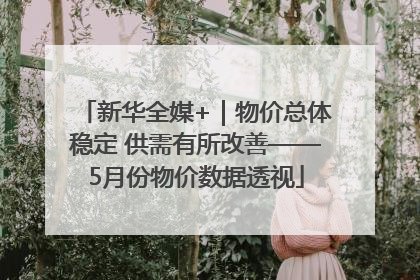 新华全媒+｜物价总体稳定 供需有所改善——5月份物价数据透视