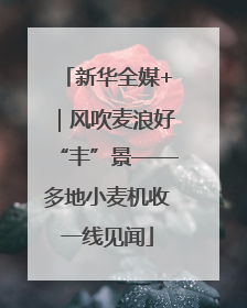 新华全媒+｜风吹麦浪好“丰”景——多地小麦机收一线见闻