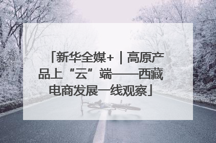 新华全媒+｜高原产品上“云”端——西藏电商发展一线观察