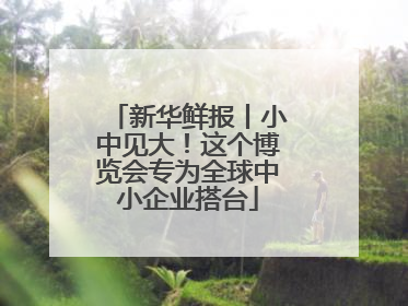 新华鲜报丨小中见大！这个博览会专为全球中小企业搭台