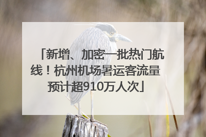 新增、加密一批热门航线！杭州机场暑运客流量预计超910万人次