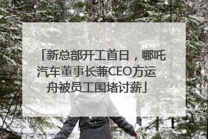 新总部开工首日，哪吒汽车董事长兼CEO方运舟被员工围堵讨薪