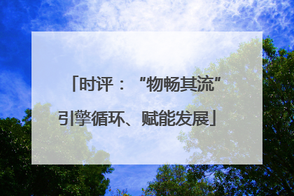 时评：“物畅其流”引擎循环、赋能发展