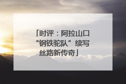 时评：阿拉山口“钢铁驼队”续写丝路新传奇