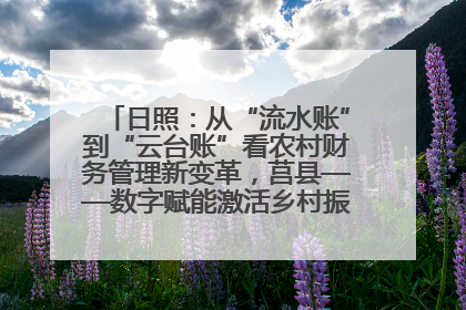 日照：从“流水账”到“云台账”看农村财务管理新变革，莒县——数字赋能激活乡村振兴“一池春水”