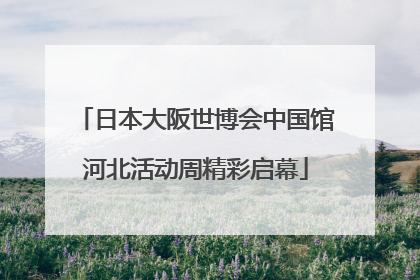 日本大阪世博会中国馆河北活动周精彩启幕