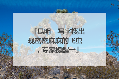 昆明一写字楼出现密密麻麻的飞虫，专家提醒→
