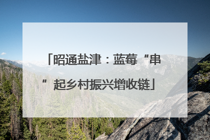 昭通盐津：蓝莓“串”起乡村振兴增收链
