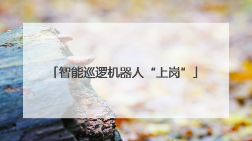智能巡逻机器人“上岗”