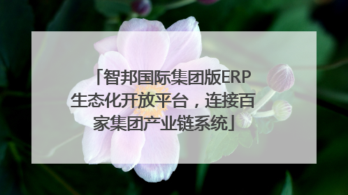 智邦国际集团版ERP生态化开放平台，连接百家集团产业链系统