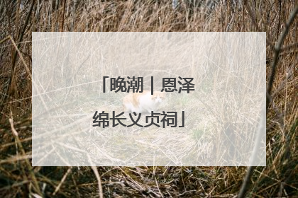 晚潮｜恩泽绵长义贞祠