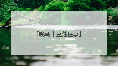 晚潮｜豆蔻往事