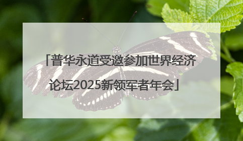 普华永道受邀参加世界经济论坛2025新领军者年会