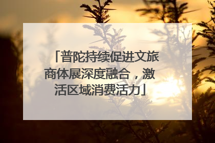 普陀持续促进文旅商体展深度融合，激活区域消费活力