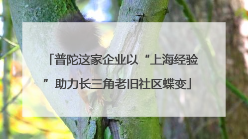 普陀这家企业以“上海经验”助力长三角老旧社区蝶变