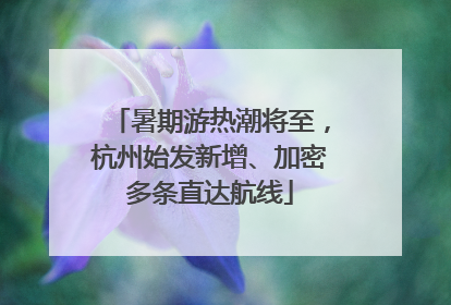 暑期游热潮将至，杭州始发新增、加密多条直达航线