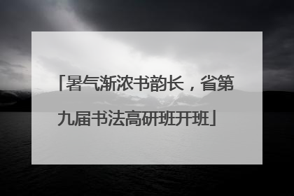 暑气渐浓书韵长，省第九届书法高研班开班