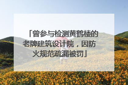 曾参与检测黄鹤楼的老牌建筑设计院，因防火规范疏漏被罚