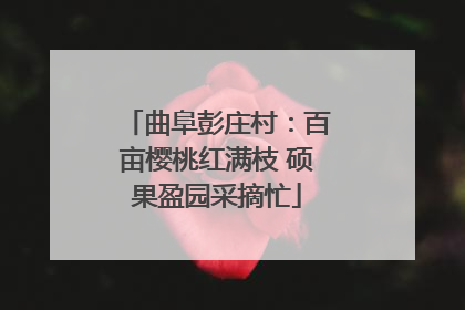 曲阜彭庄村：百亩樱桃红满枝 硕果盈园采摘忙