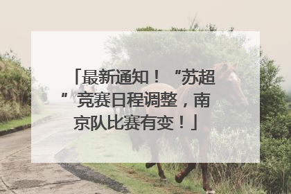 最新通知！“苏超”竞赛日程调整，南京队比赛有变！