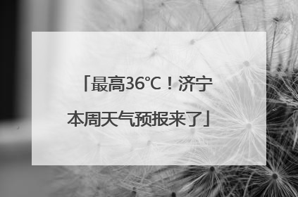 最高36℃！济宁本周天气预报来了