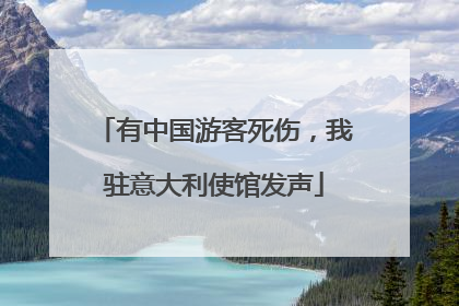 有中国游客死伤，我驻意大利使馆发声