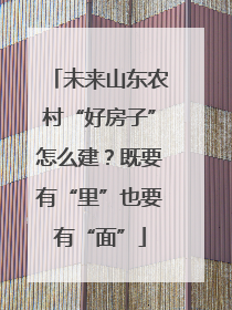 未来山东农村“好房子”怎么建？既要有“里”也要有“面”